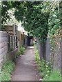 Footpath behind Naylor Road, N20