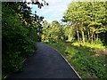 Path into Sankey Valley Park