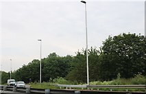 TF1704 : Roundabout on Paston Parkway, Peterborough by David Howard