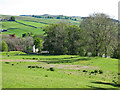 Farmland around Lands Bridge (2)