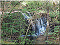 Waterfall on Swinhope Burn at Swinhopeburn