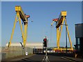 J3575 : Samson and Goliath by Oliver Dixon