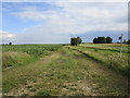 Footpath to Ewerby