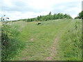 SE3929 : Hillside Hike, RSPB St Aidan's [2] by Christine Johnstone