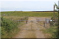 ST3682 : Sheep pens on Wales Coast Path by M J Roscoe