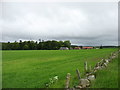 Fields and houses near Damheads