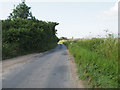 Looking down Summer Lane