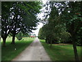 Path across the golf course