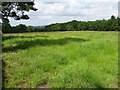 Field near Oak Farm