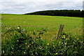 Corlaghdergan Townland