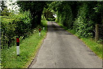 H3062 : Marker posts along Corlagh Road by Kenneth  Allen