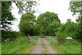 Track leading to Freezeland Farm