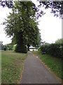 Path at Diss Park