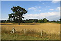 Farmland at Eyton