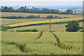 View downhill from High Beacon Cottage