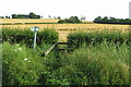 Footpath to Poodle Farm