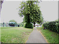 TM1179 : Path at Diss Park by Geographer