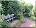 Stile and bench along the path to the River Teign