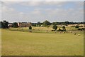 SO8844 : Hay bales in Croome Park by Philip Halling