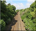 Railway line west towards Newton Abbot