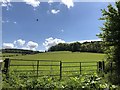 Fields near Fox Hall