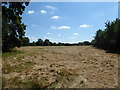 SU2086 : Field of hay near Longleaze Farm by Vieve Forward