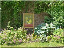 ST2885 : Citrus Celebrations (10), Tredegar House Gardens by Robin Drayton