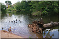 Wildmoor nature pond