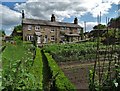 Terraced cottages in Sicklinghall