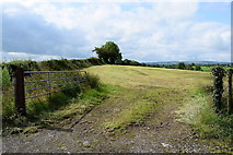 H4178 : An open field, Killinure by Kenneth  Allen