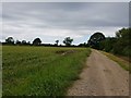 Bridleway near A1237