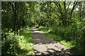 Strathkelvin Railway Path