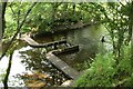 Weir on the Glazert Water