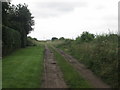 Farm track south of Ivy House, Sessay