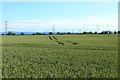 NZ4020 : Arable field near Coalgarth Farm by Graham Robson