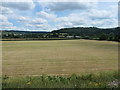 Farmland south of Pry Farm