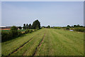 Riverside path towards Downe