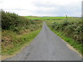 NX0648 : Hedge-lined minor road near to Mid Float by Peter Wood