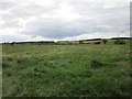 Grass field near Marwood House Farm