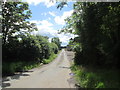 The Avenue south of Arden Lodge