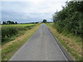 Wall-lined minor road approaching Barsalloch Cottages