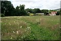 Footpath through the meadow