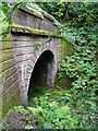 Tunnel entrance