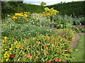 Summer flowers in Broadview Gardens