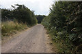 Long Hedge Lane towards Mill Lane, Carlton