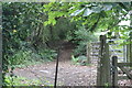 Track up hill from dismantled railway, Pentre