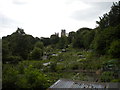 Allotment gardens off Margery Lane, Durham