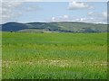 View to Hergest Ridge