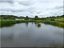 SY3693 : River Char, Charmouth by Robin Webster