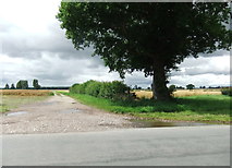 SE6039 : Path on Kelfield Moor by David Brown